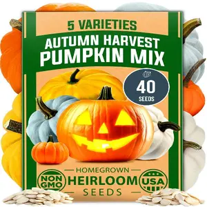 5 Pumpkin Seeds Mix - 40 Seeds | Non-GMO Heirloom Pumpkin Seeds for Planting. Ideal Garden Seeds for Unique Varieties Like Yellow Paris and Casper | Perfect for Culinary and Decorative Use