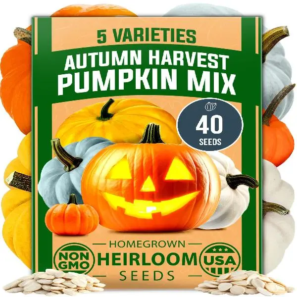 5 Pumpkin Seeds Mix - 40 Seeds | Non-GMO Heirloom Pumpkin Seeds for Planting. Ideal Garden Seeds for Unique Varieties Like Yellow Paris and Casper | Perfect for Culinary and Decorative Use