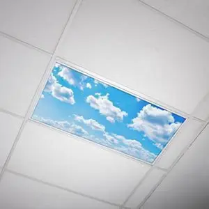 Fluorescent Light Cover - Cloud 001