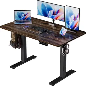 40x24 Inch Electric Standing Desk with Memory Presets, Quiet  Height Adjustable Stand Up Desk for  Office & Gaming,  Sit Stand Workstation,Walnut