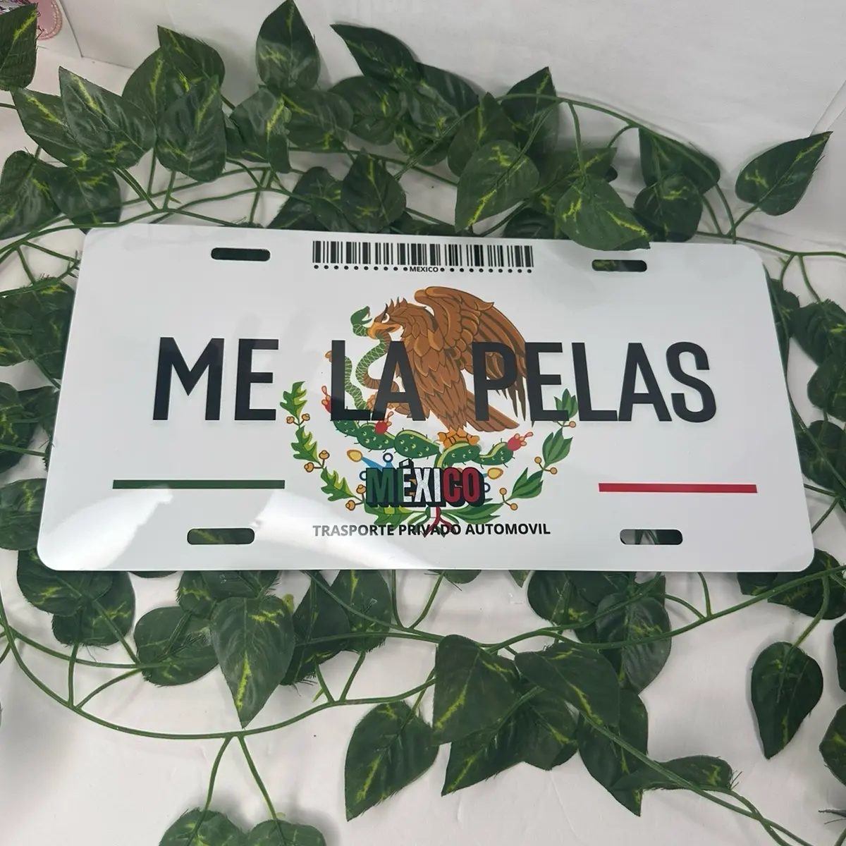 Placas personalizada