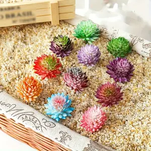 2pcs Mini Artificial Succulents, Handmade DIY Simulation Plants, Cute Plastic Fake Succulents, Fake Indoor Plants, Photo Props, Dragon Boat Festival Decorations