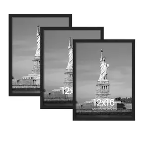 3-Piece Set 12x16 Inch Decorative Picture Frames, Durable Sturdy Frame, Multiple Colors Available, Wall-Mounted for Hallway or Living Room, Home and Office Decoration, Photo Frame