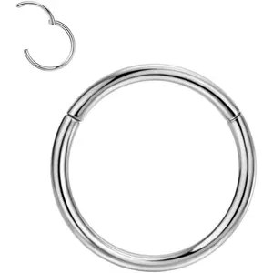 G23 Titanium Nose Rings 16 Gauge Nose Ring For Women 16g Nose Hoop Silver Septum Jewelry Hinged Septum Ring Clicker Lip Rings Helix Earring Rook 10mm Conch Earrings Cartilage Earring