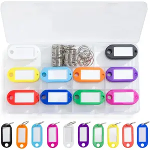 50pcs Key Ring Tags 10 Colors Key Tags with Opening Ring Key Tags with Labels for Marking Keys USB Drive, Bags, Pets
