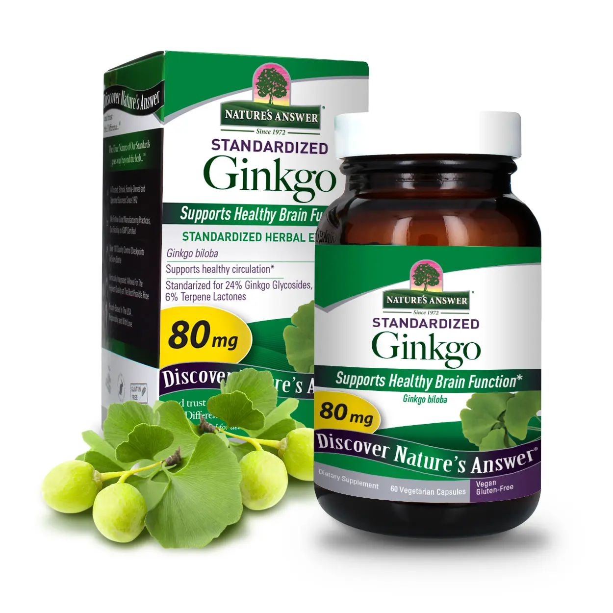 Nature's Answer Ginkgo Biloba Herbal Supplement 60 Vegetarian Capsules | Promotes Cognitive Function | Mental Clarity | Natural Energy Booster | Gluten-Free | Single Count