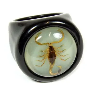 Ed Speldy East R0013-6 Gold Scorpion Black Ring with Glow in Dark Back - Size 6, Glow-In-The-Dark Rings, Mini Figure Rings