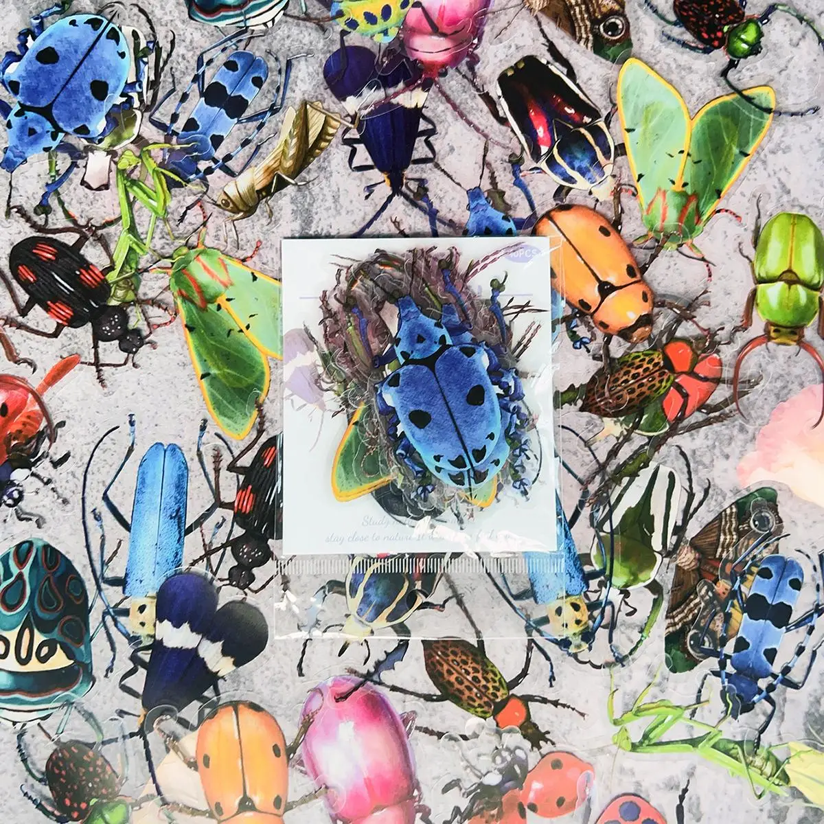 Natural Museum Themed Pattern Naughty Stickers, 40pcs/set Mixed Pattern Decorative Graffiti Sticker For DIY Craft Gift Cup, Anime Naughty Stickers, G