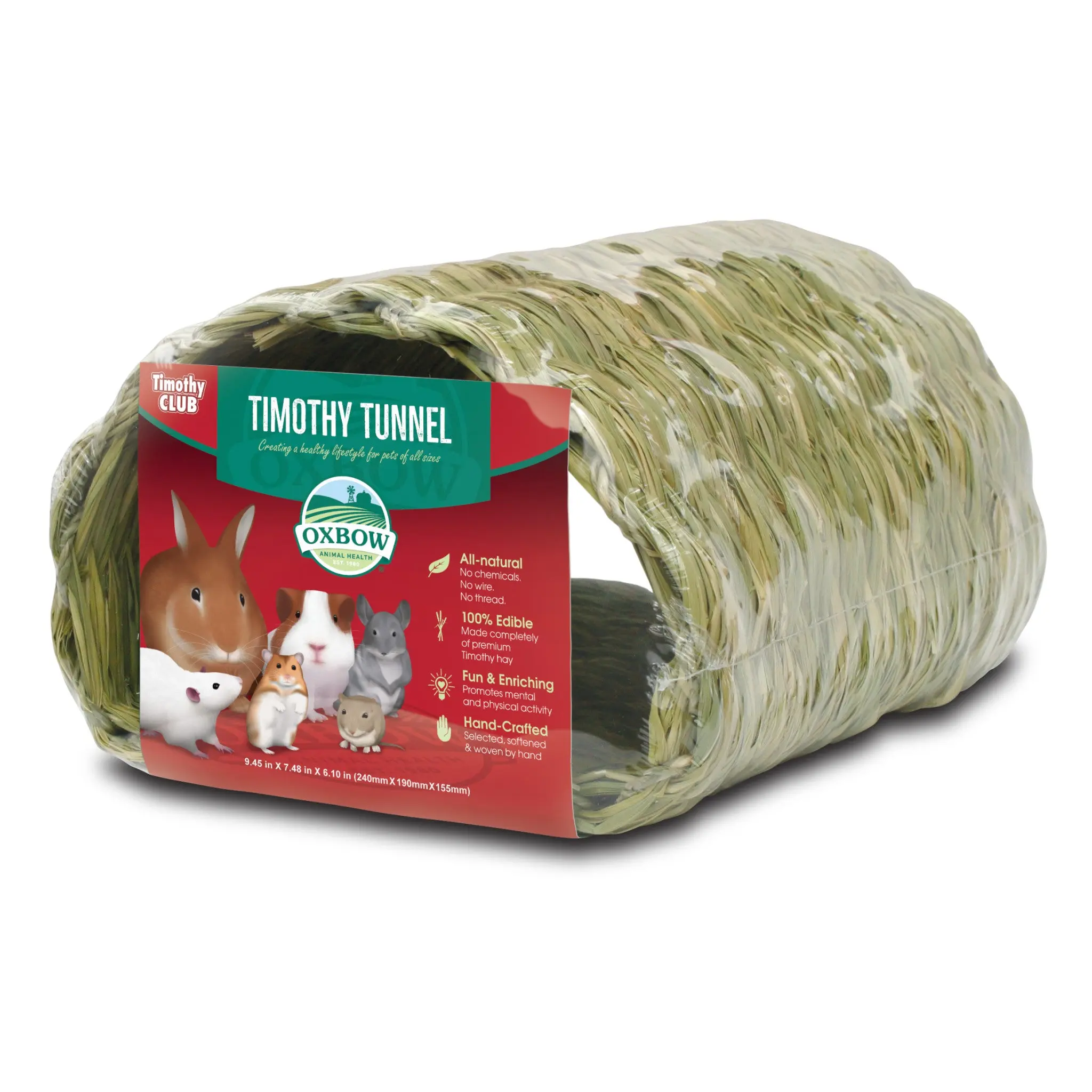 Timothy Tunnel (Timothy CLUB)