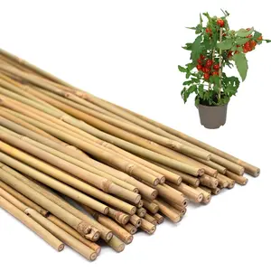 50 count  Stakes,  Stakes,Garden Stakes for Indoor and Outdoor , Poles Sticks for Tomatoes,Beans,,Trees Potted and Climbing -18 inches