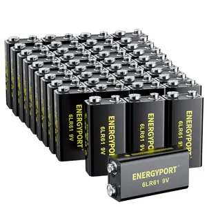 ENERGYPORT High Capacity 9V Batteries 40 Pack, Alkaline 9 Volt Battery 6LR61 for Smoke Detector Fire Alarm and More Devices