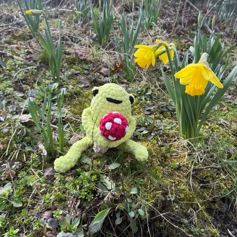 Fungi Froggy Plush Toy
