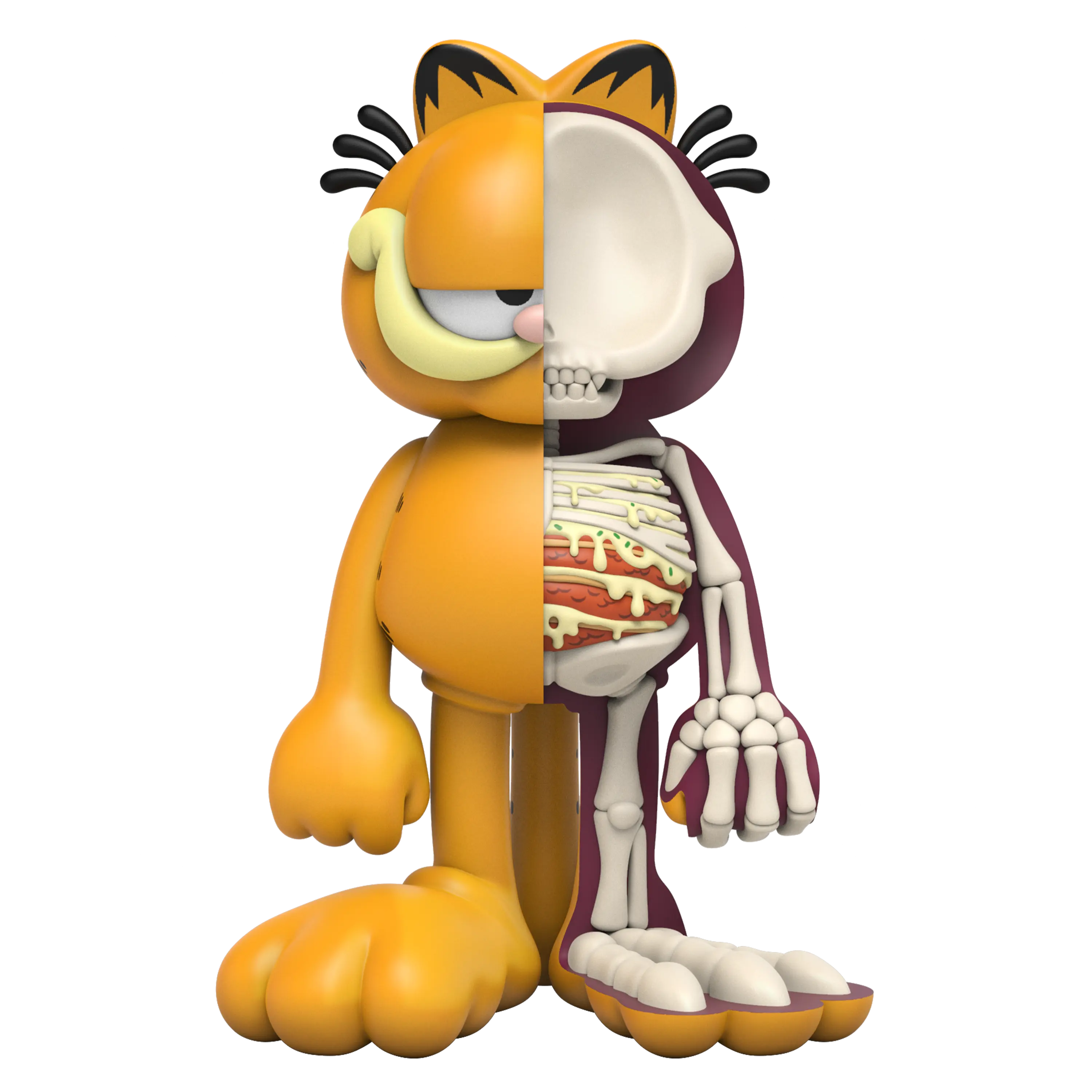XXRAY Plus Garfield XXRAY Plus Garfield