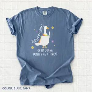 Comfort Colors Silly Goose Ally Tee, LGBTQ Ally Graphic T-Shirt, Pride Month Rainbow Shirt, Equality Top,  Liberal Equality Social Justice