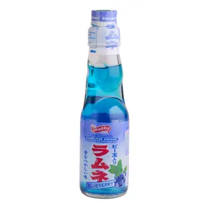 SHIRAKIKU Japanese Blueberry Soda 200ml - Refreshing Carbonated Drink