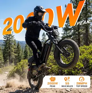 Yoloway YR16 Electric Bike for Riders 4'9"–5'5", 2000W Peak Motor, Up to 55 Miles Range, 48V 12.5Ah Battery, 16" Fat Tire eBike with Cruise Control & Full Suspension, All-Terrain (New Version)