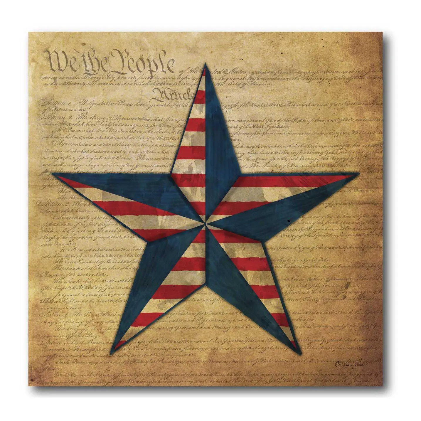 Courtside Market Flag Star I 16" x 16" Canvas Courtside Market Flag Star I 16" x 16" Canvas