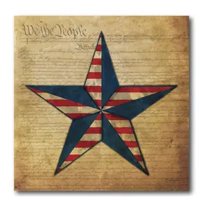Courtside Market Flag Star I 16" x 16" Canvas
