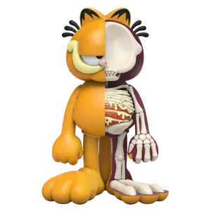 XXRAY Plus Garfield
