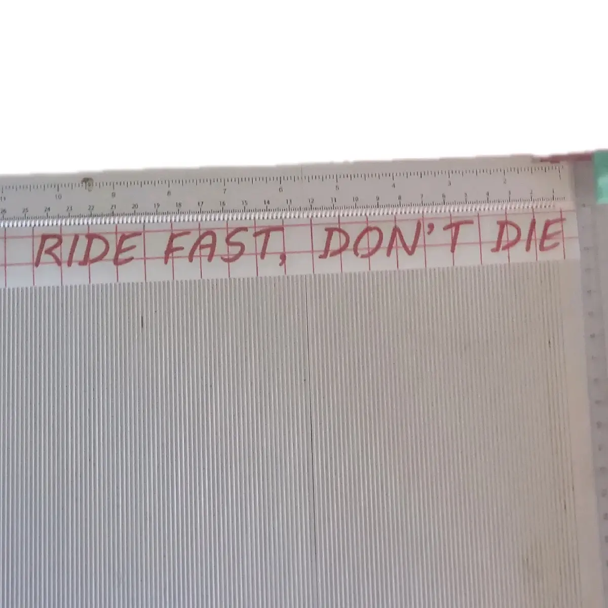 "RIDE FAST, DONT DIE" bike decal