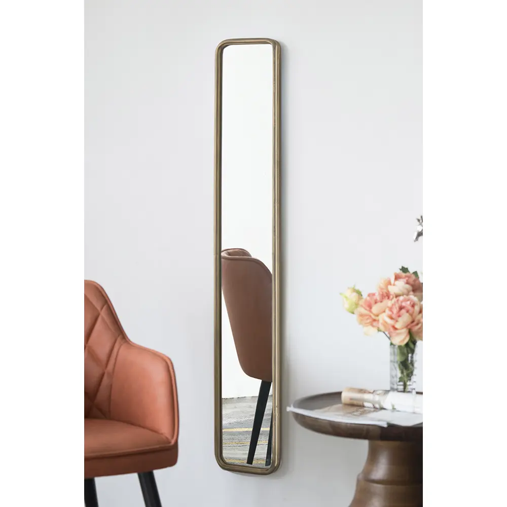47.2x8x1.2 In Slim Profile Metal Vintage Glass Mirror, Antique Gold Narrow Rectangle Wall Accent, Bathroom Fixture for Home Improvement in Hallway, Narrow Profile