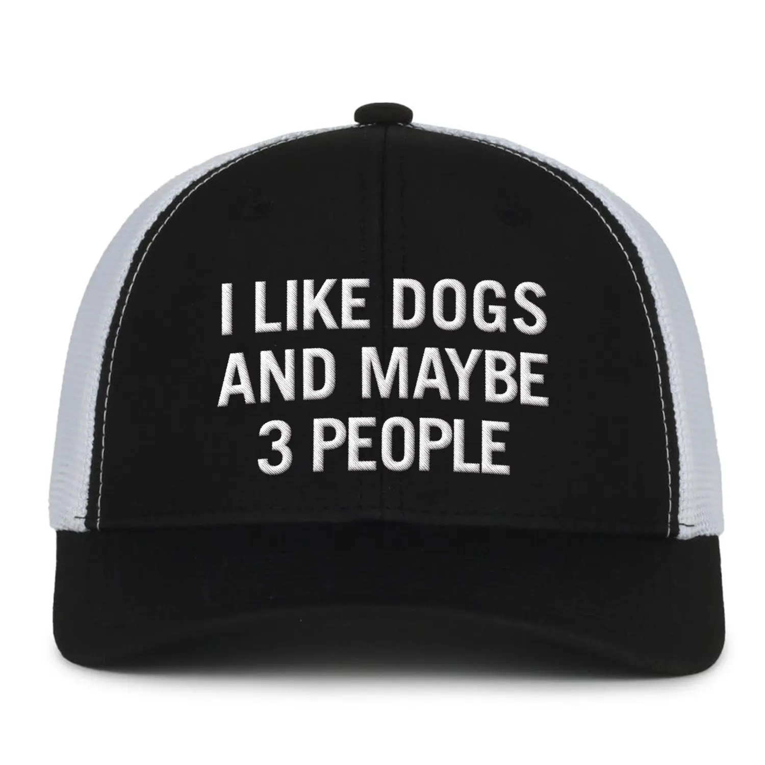 I Like My Dogs Embroidered Hat