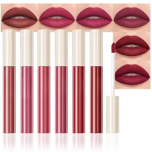 6Pcs Matte Liquid Lipstick Makeup Set,Purple Red Pink Brown Maroon Highly Pigmented Color Plumping Lip Gloss Long Lasting Waterproof Lip Stain Lip Gloss for Women Girls labiales matte springtok