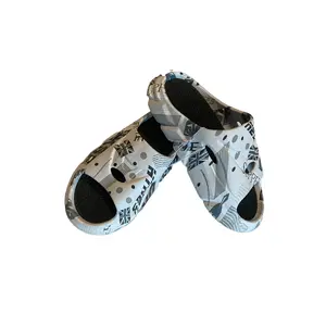 Multicultural Slides