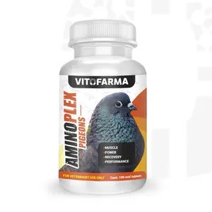 Amino Acid for Pigeon – Aminoplex Pigeon 100 Tablets