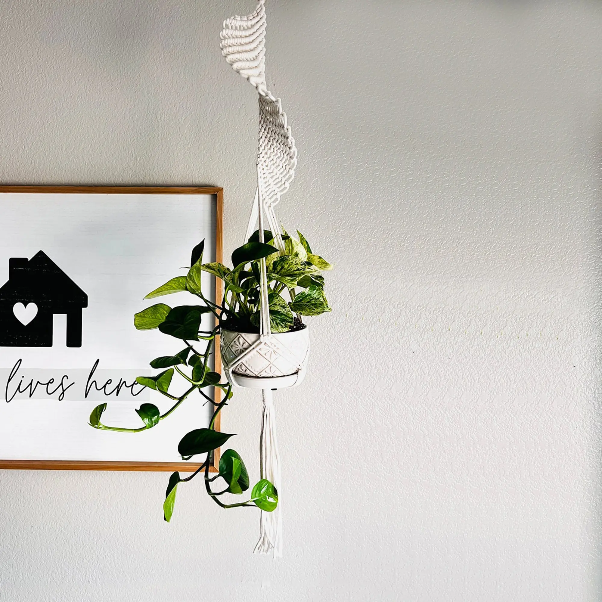 Macrame Plant Hanger Indoor Greenery Hanging Net, Hanging Planters, Hanging Functionality, Bohemian Style Basket Hook, Handwoven Plant Holder Rope Decor - No Pot Included