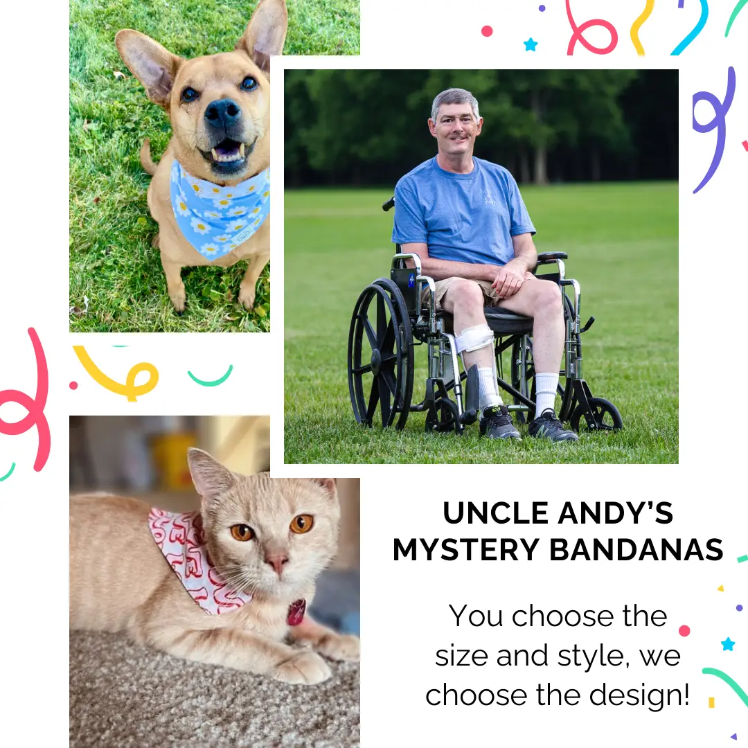 Mystery Dog And Cat Bandanas - For All Pets - Slide On The Collar And Tie On - Reversible - Washable