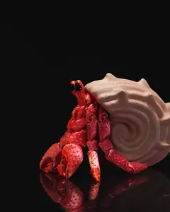 Articulated Hermit Crab