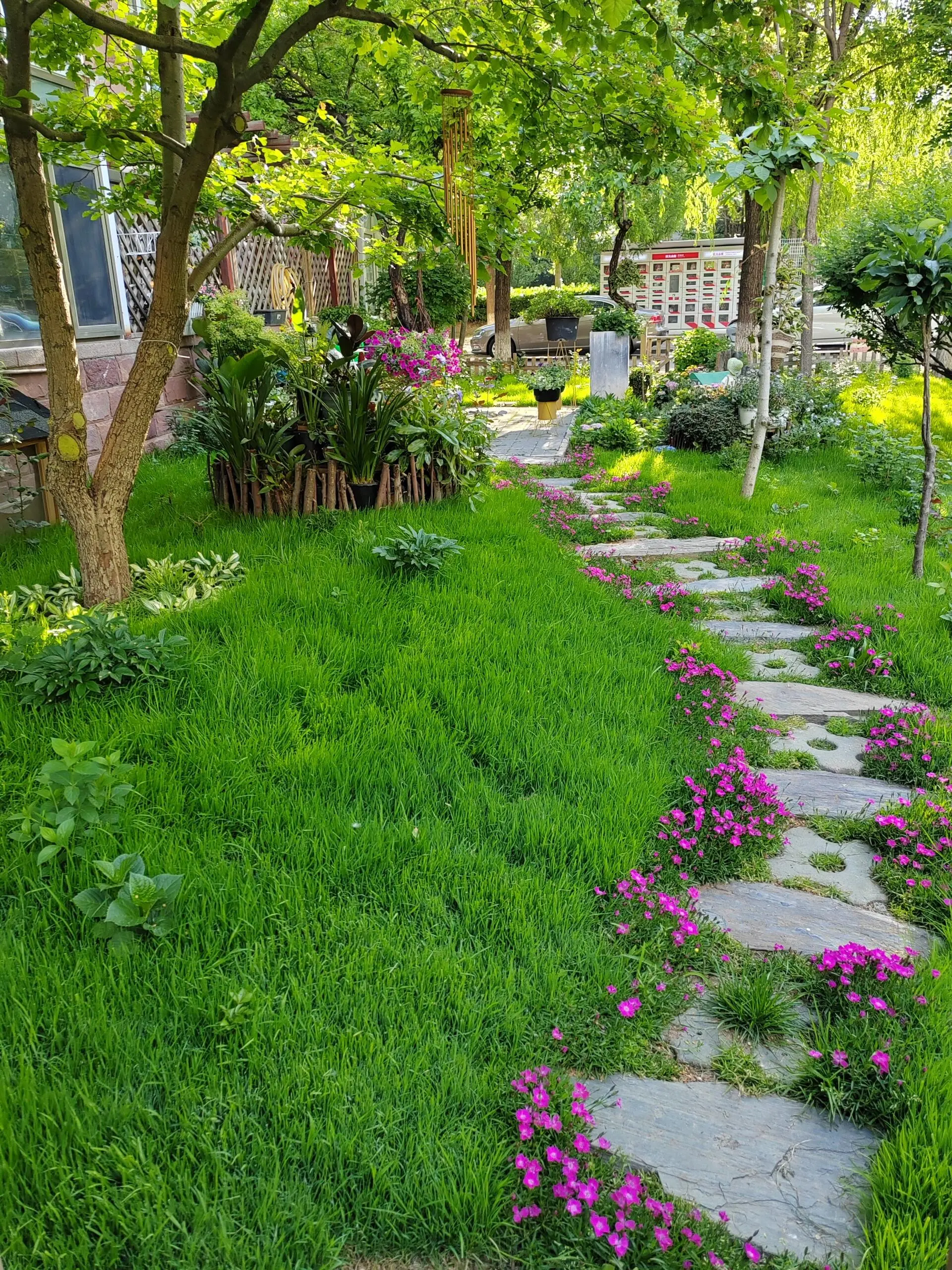 3000 pcs High-Quality Warm Climate Grass Seeds - Thick, Lush Turf Solution for Lawns & Landscapes - Fast Germination Guaranteed