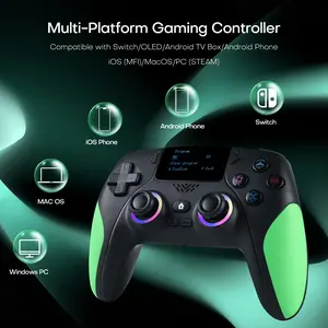 Wireless Game Controller, Rechargeable Gaming Joystick with RGB Lighting, Mappable Buttons, Compatible with PC/switch/iOS/android/steam Deck, Wireless Controllers