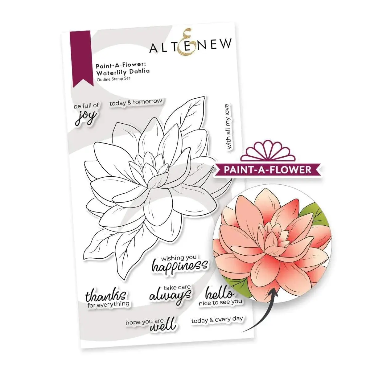 Paint-A-Flower: Waterlily Dahlia Outline Stamp Set