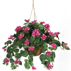 Bougainvillea Hanging Basket Silk Plant Bougainvillea Hanging Basket Silk Plant