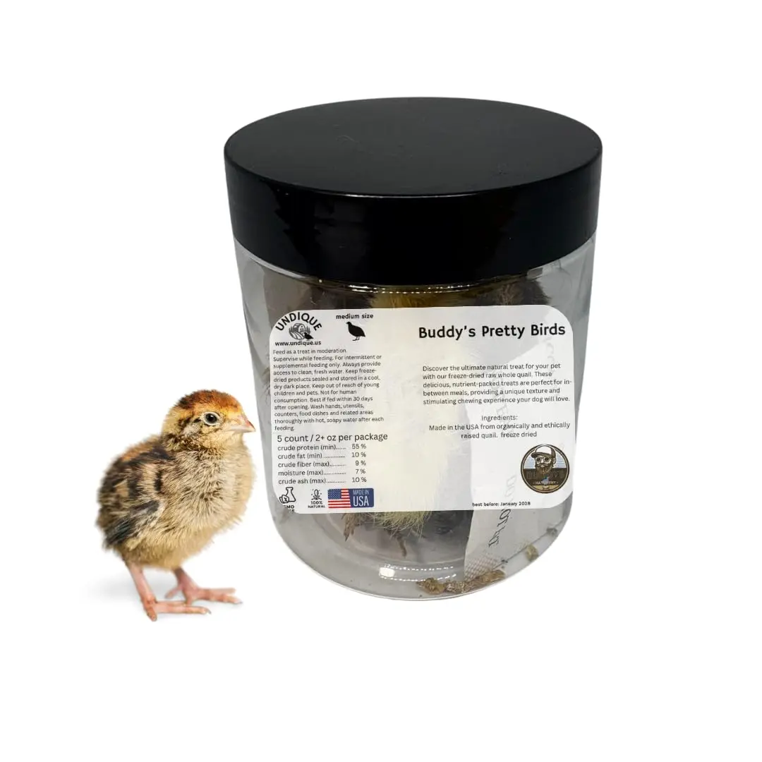 Buddy's Pretty Birds Whole Quail - Natural Protein for Carnivore Pets - Medium Size Chicks 5 Count Freeze-Dried Raw Quail for Dog Enrichment