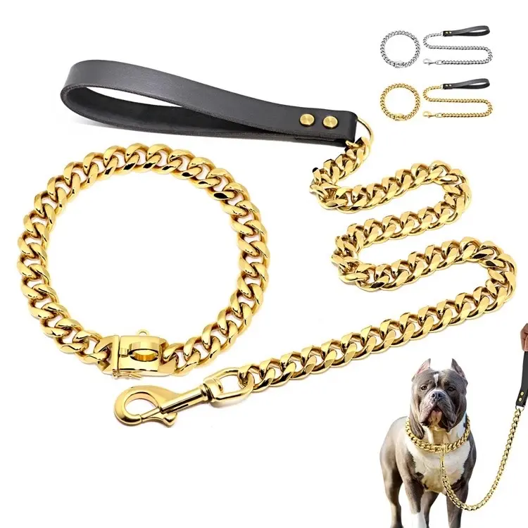 Rich dog chain Rich dog chain