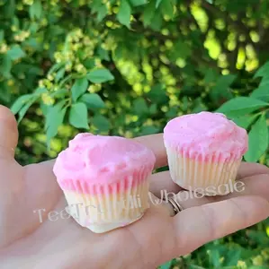 Mini Cupcake Wax Melt Box