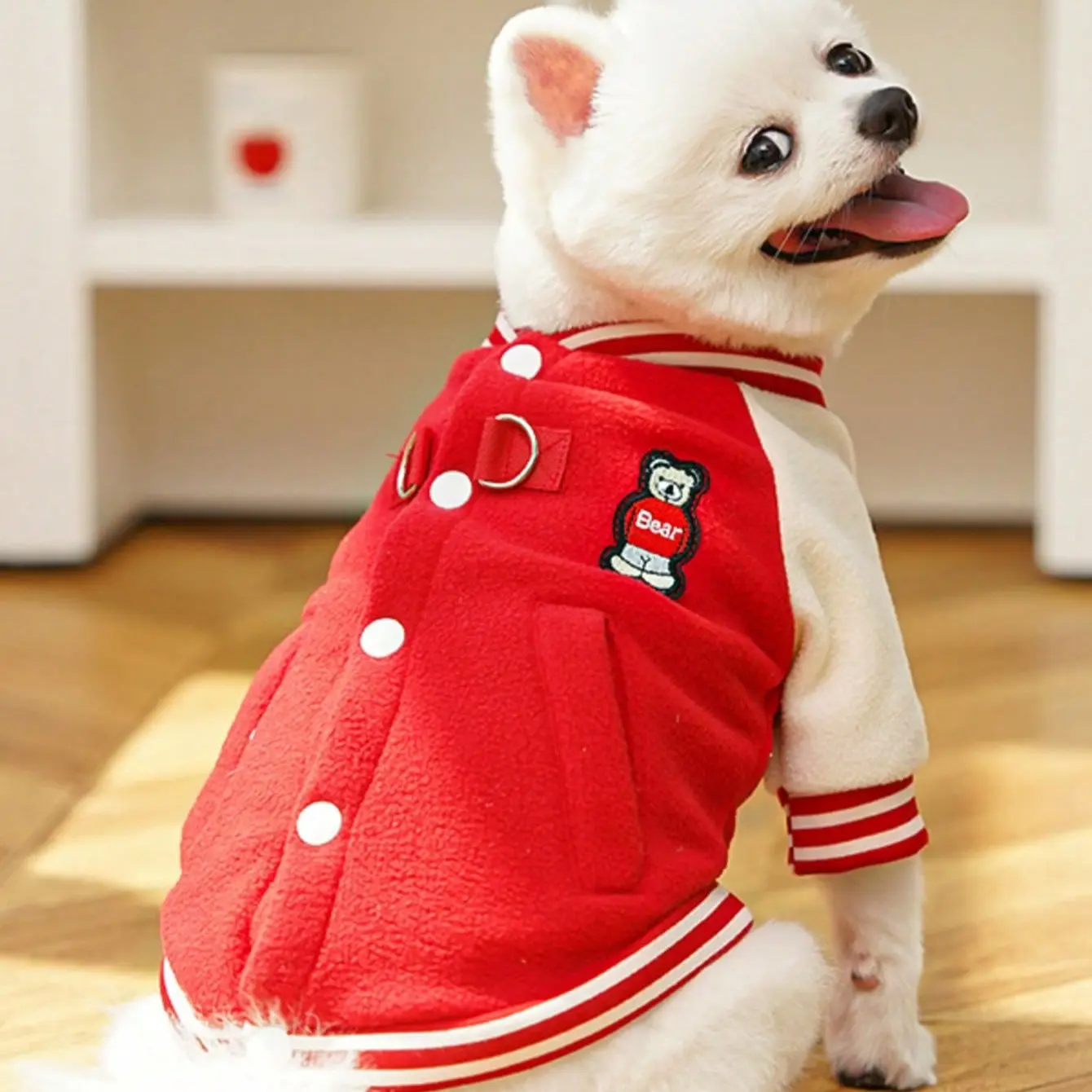 Dog Clothes Baseball Jacket, Wool Coat for Fall/winter, Teddy Bear, Schnauzer, Bulldog, Beagle, Small/medium Pets, Cat Accessories