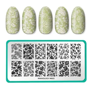 Chinoiserie (M653) - Nail Stamping Plate