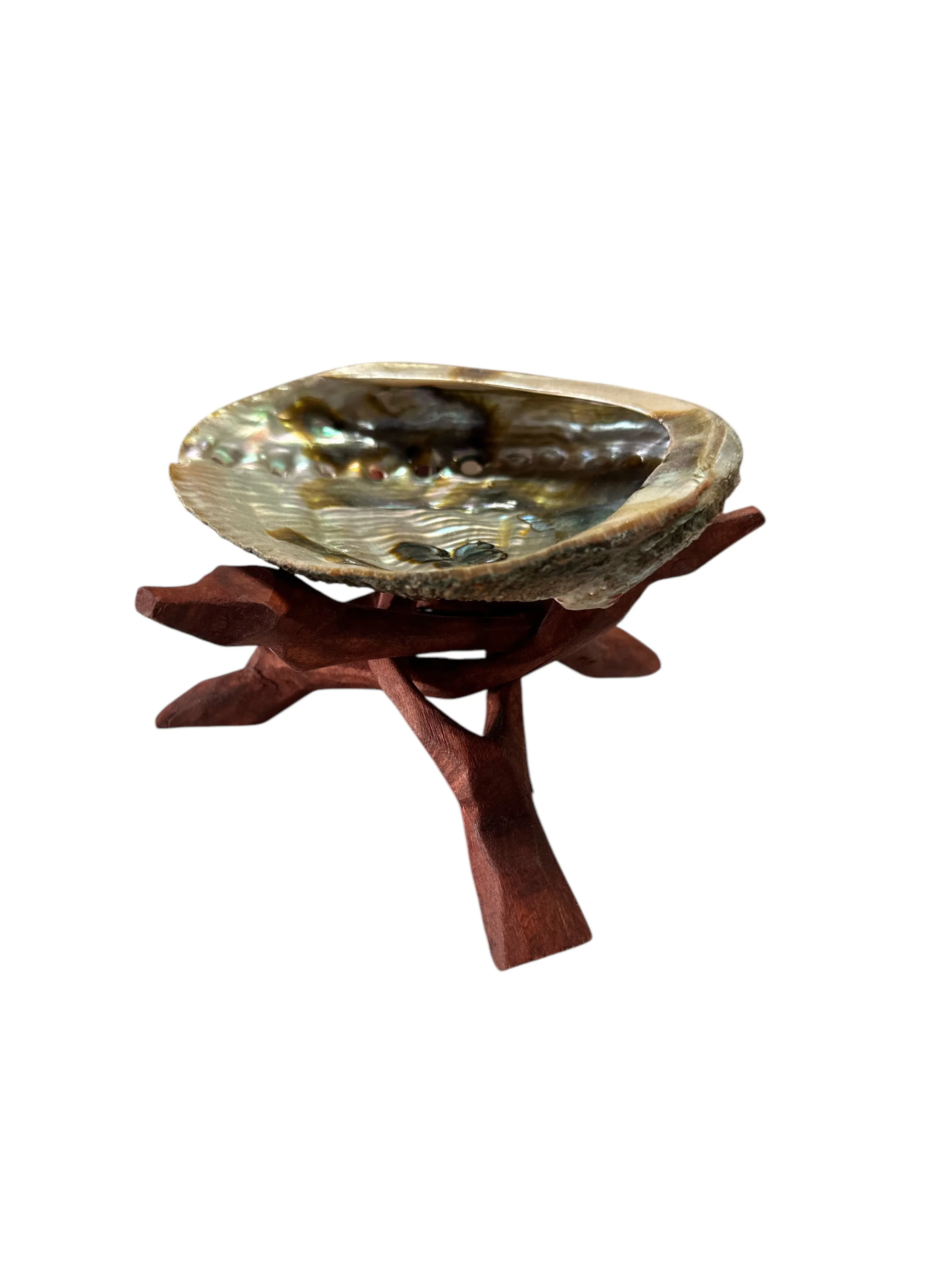 Shell with wooden base incense burner Shell with wooden base incense burner
