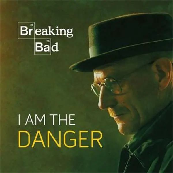 USED-Breaking Bad: I Am the Danger (Hardcover)