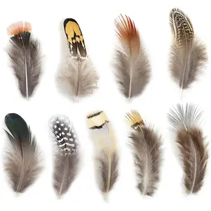 180 count 9 Styled  Feathers Assorted Mixed Feathers for  and Dream Catcher Crafts