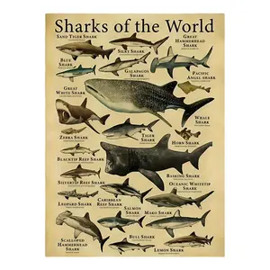 Vintage Shark Species Canvas Print -  Wall Art with Labeled Illustrations of 20 Shark Types - Unique Decor for Living Room, Bedroom, Office, or Bar - Perfect Gift