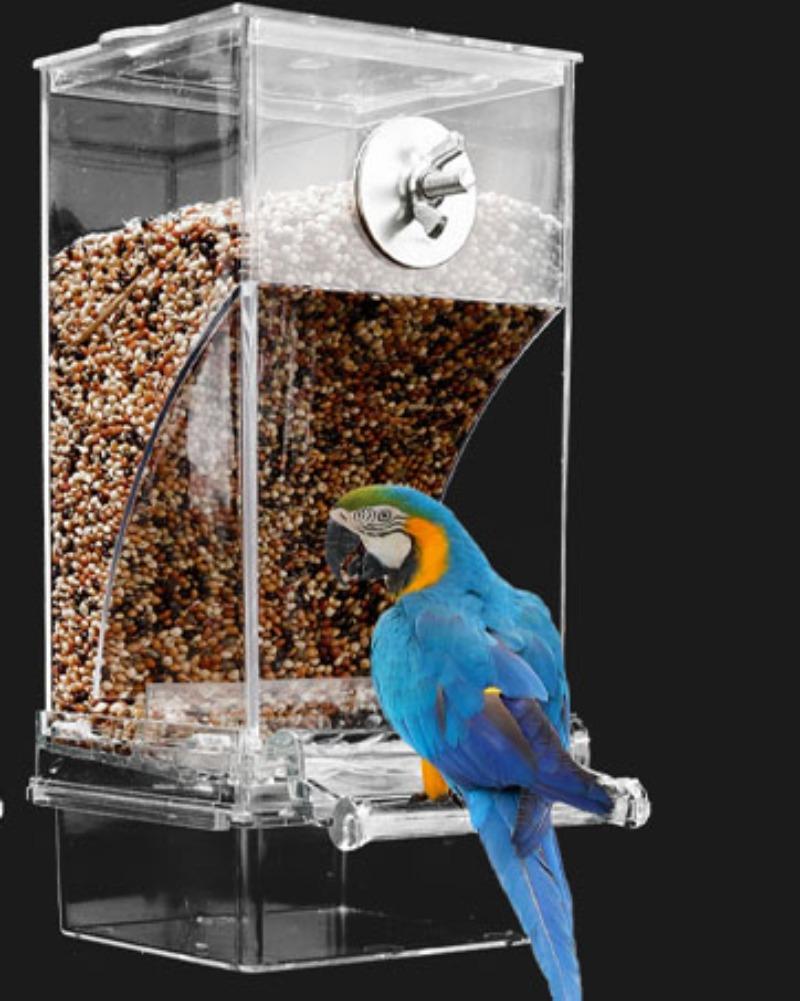 Automatic No Mess Bird Feeder –  Transparent with perch. For small & medium birds (parakeet, cockatiel, lovebird, canary, finch). Easter Gift