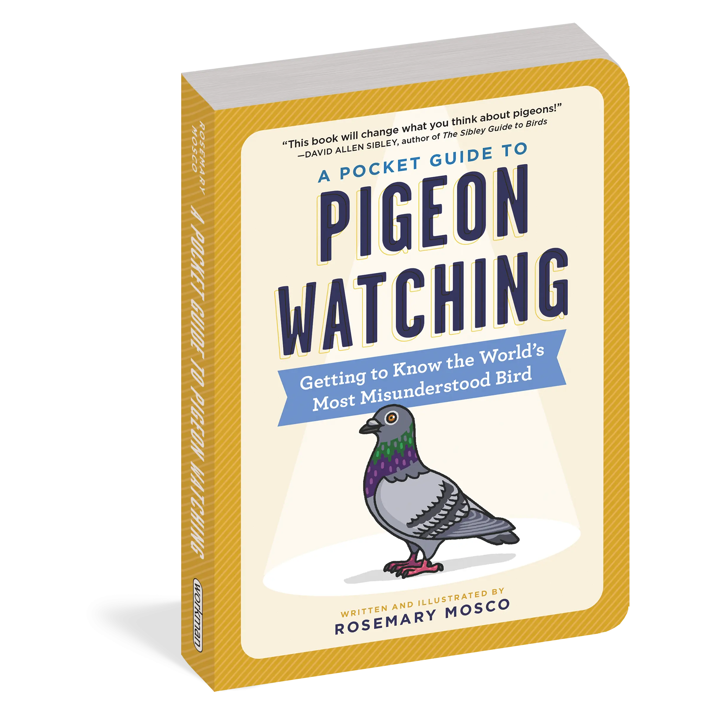 A Pocket Guide to Pigeon Watching