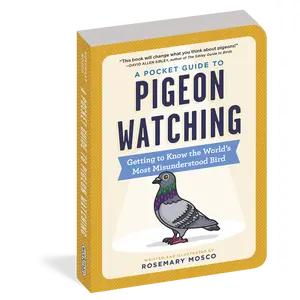 A Pocket Guide to Pigeon Watching