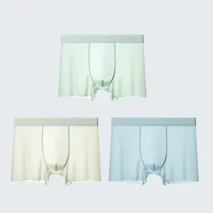 High-end Antibacterial Maintenance Pants for Men - two thousand and twenty-five New Ice Silk Boxer Briefs/Boxers, Thin Summer Shorts for Men