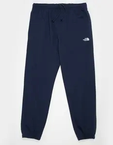 THE NORTH FACE Evolution Simple Dome Mens Sweatpants